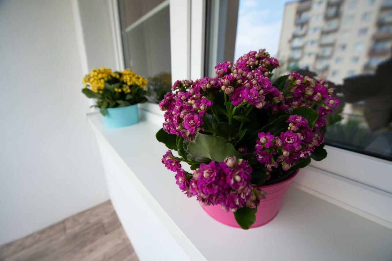 وودج Time For You Apartments 1 المظهر الخارجي الصورة